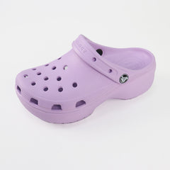Platform--Purple